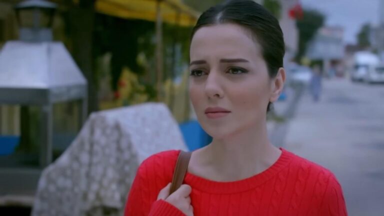 Zranione ptaki odc. 186: Koniec małżeństwa Cemila i Ayse! Dogan i Mine nie poddają się, by ich połączyć! [Streszczenie + Zdjęcia]