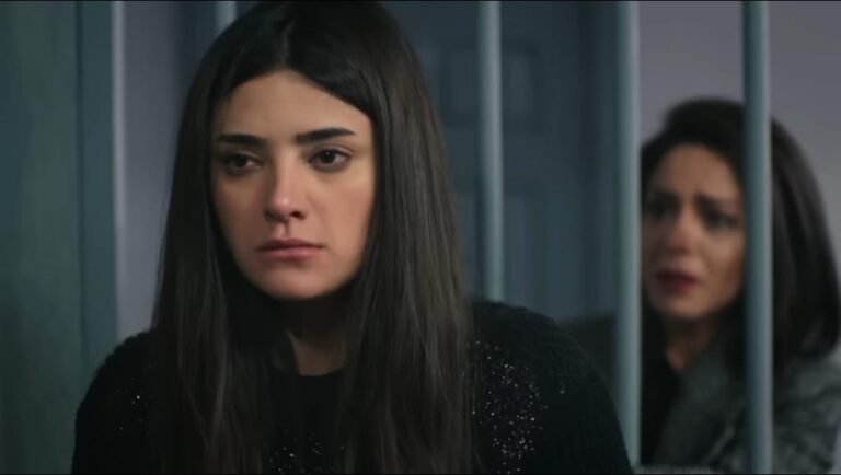 Dziedzictwo odcinek 213 i 214: Neslihan wybacza Borze na oczach Firata! Sultan chce zeswatać Aliego i Kiraz!
