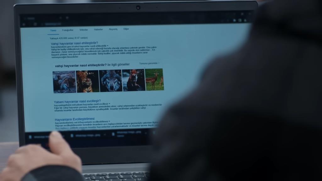 Zdjęcia dzikich zwierząt na ekranie laptopa Ferita.