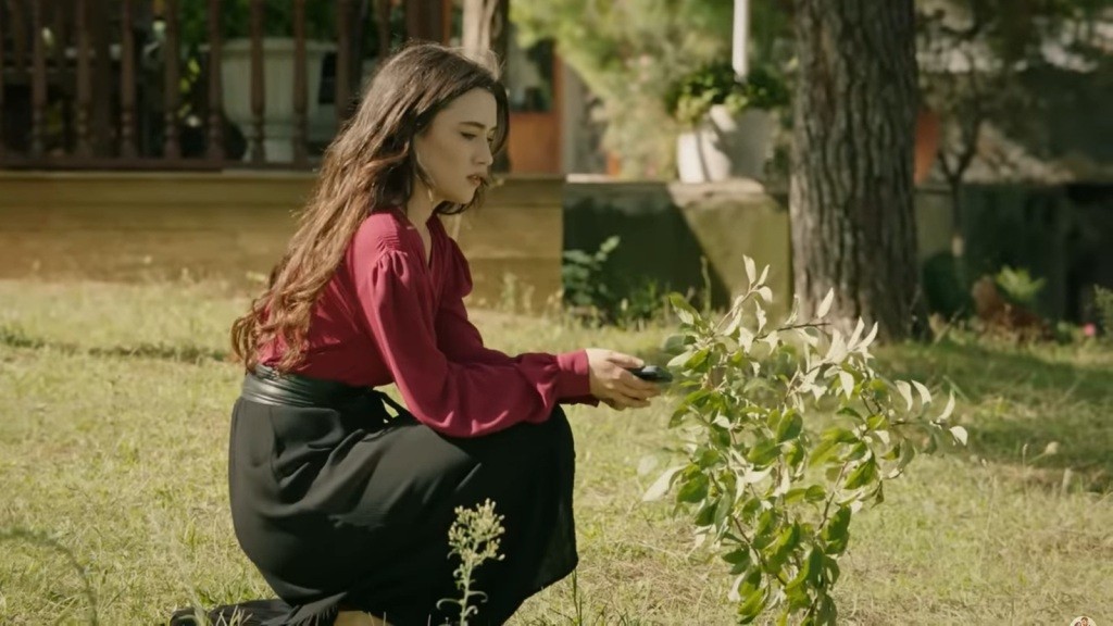 Zeynep kuca w ogrodzie przed niskim krzewem.
