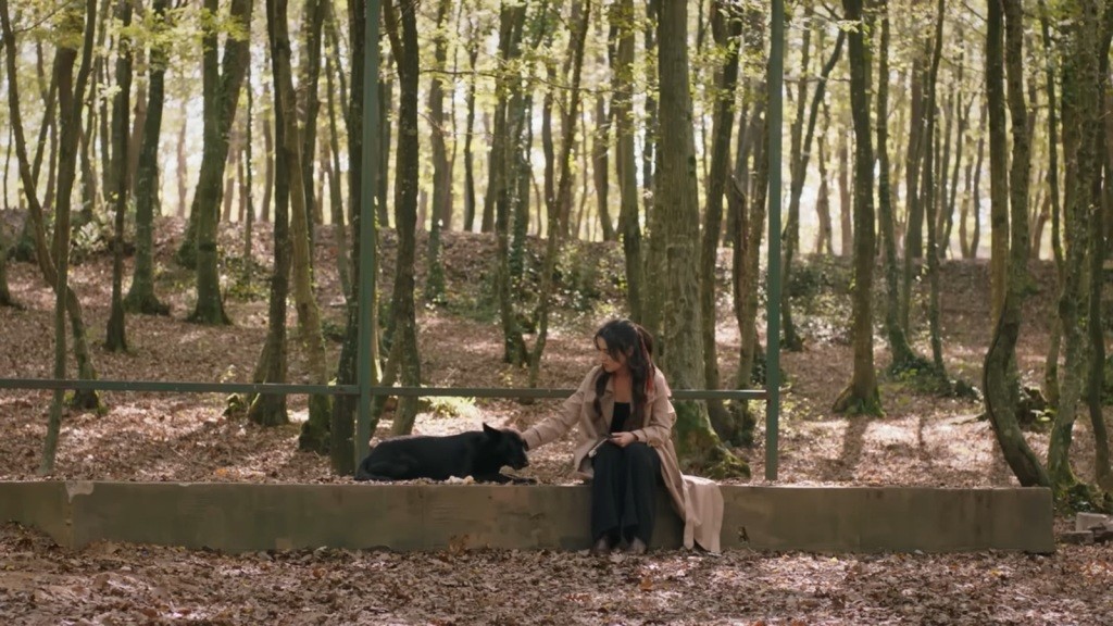 Zeynep siedzi na murku w lesie i głaszcze psa.