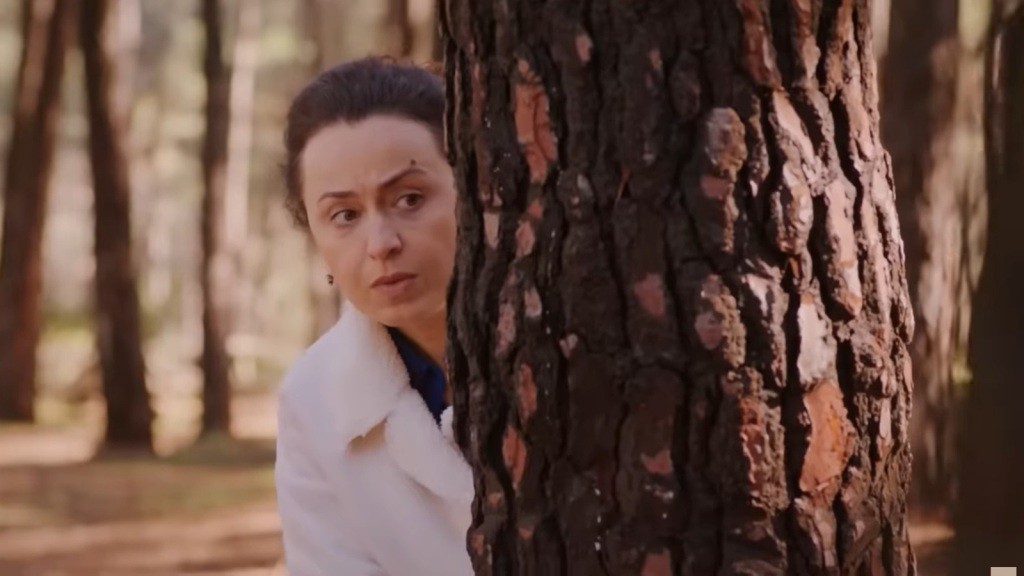 Cavidan wygląda zza drzewa.