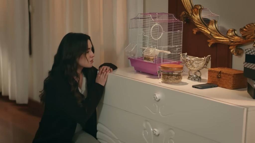 Zeynep kuca przed klatką z kanarkiem.