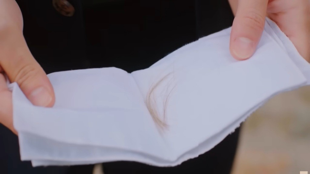 Pukiel jasnych włosów na białej chusteczce.