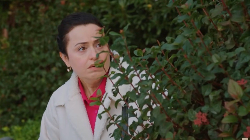 Cavidan chowa się za zaroślami.