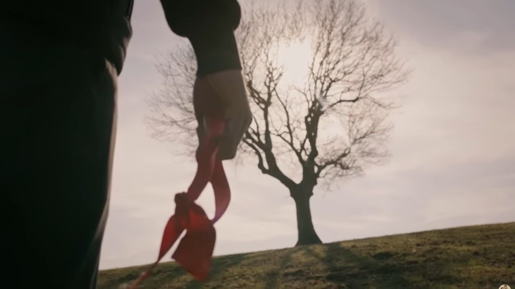 Czerwona wstążka w męskiej dłoni na tle drzewa na wzgórzu.