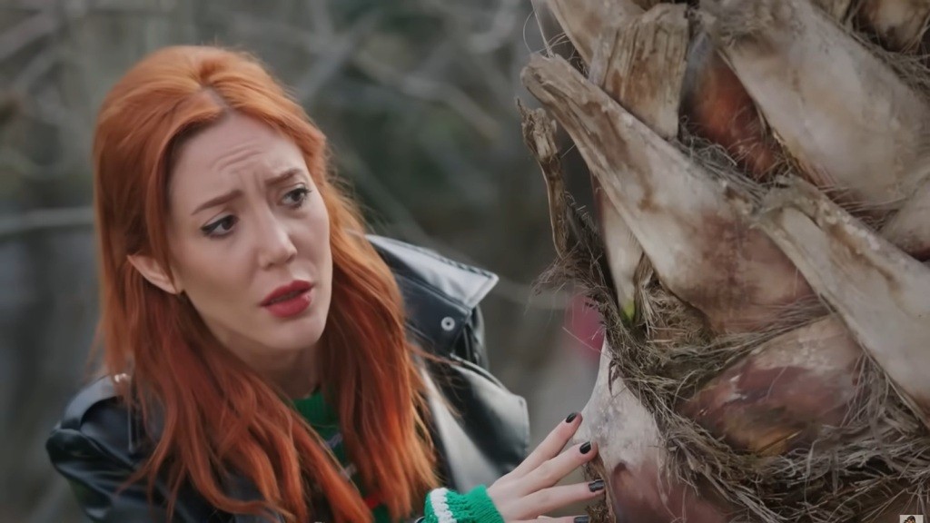 Yonca chowa się za drzewem.