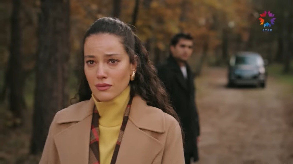 Diyar odchodzi, zostawiając Ferita za plecami.